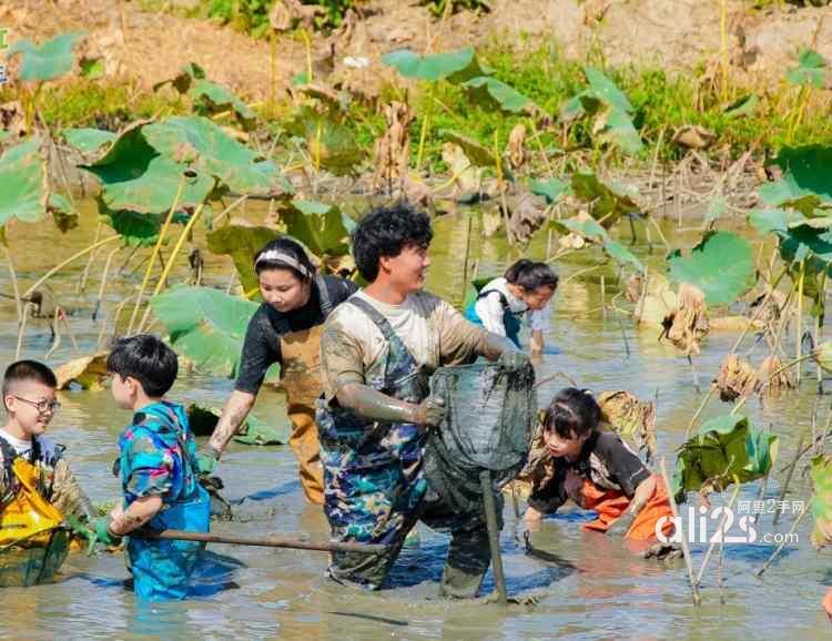 
苏州研学基地趣味挖藕三六六社会实践邀你共赴田野体验探秘之旅
